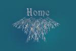 Home